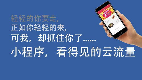 濰坊專業定制小程序開發制作