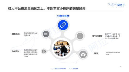 阿拉丁研究院 2020年上半年小程序互聯網發展白皮書